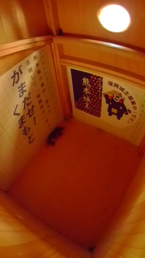 �����̒�ŏW�܂��ē����Ȃ��n�`�W�c�Ƒ����t�߂̑���Ɋ���o���Ă���J�����V�̎ʐ^