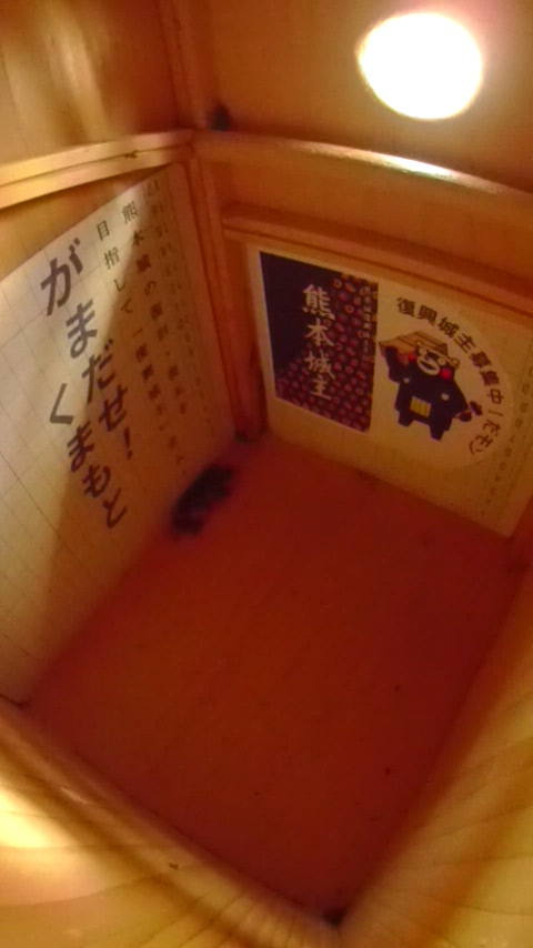 �����̒�ŏW�܂��ē����Ȃ��n�`�W�c�Ƒ����t�߂̑���Ɋ���o���Ă���J�����V�̎ʐ^