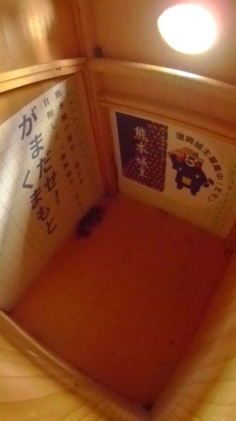 ̒ŏW܂ēȂn`Wc̎ʐ^