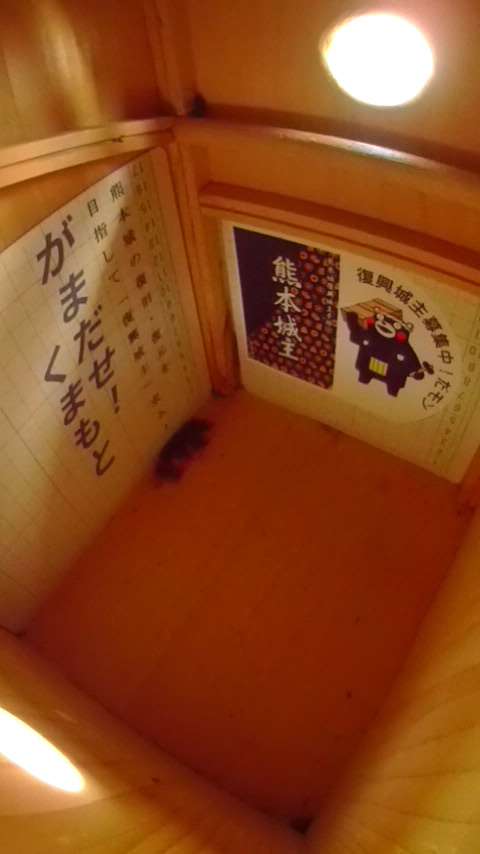 ̒ŏW܂ēȂn`Wc̎ʐ^