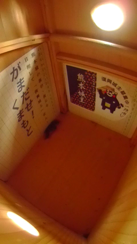 ̒ŏW܂ēȂn`Wc̎ʐ^