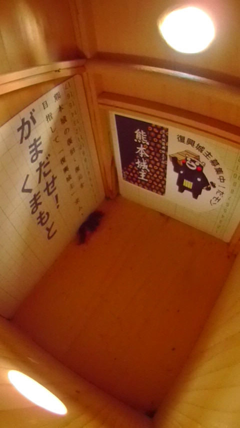 ̒ŏW܂ēȂn`Wc̎ʐ^