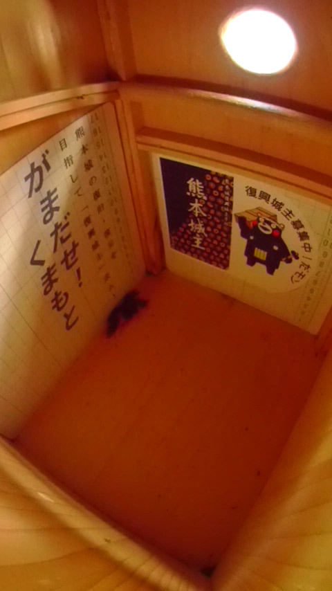 ̒ŏW܂ēȂn`Wc̎ʐ^