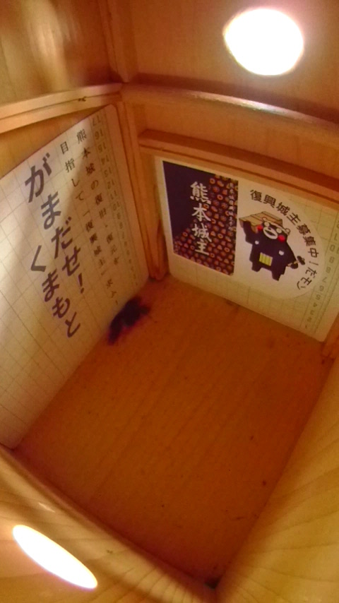 ̒ŏW܂ēȂn`Wc̎ʐ^