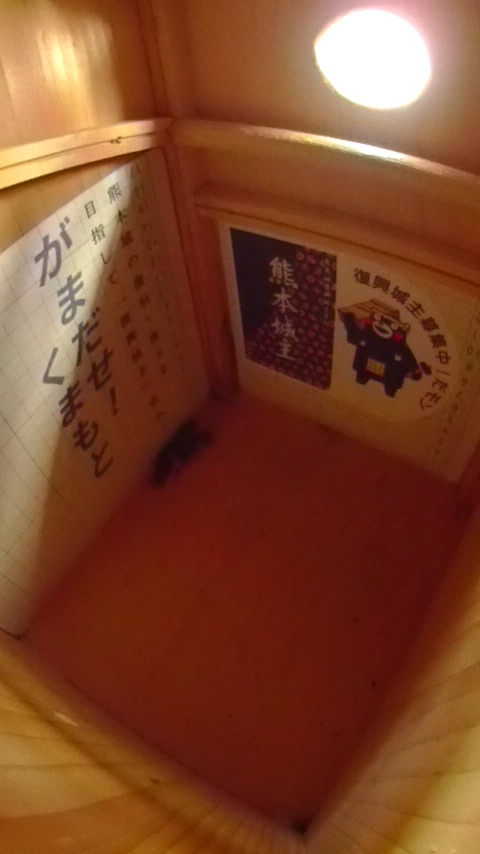 ̒ŏW܂ēȂn`Wc̎ʐ^