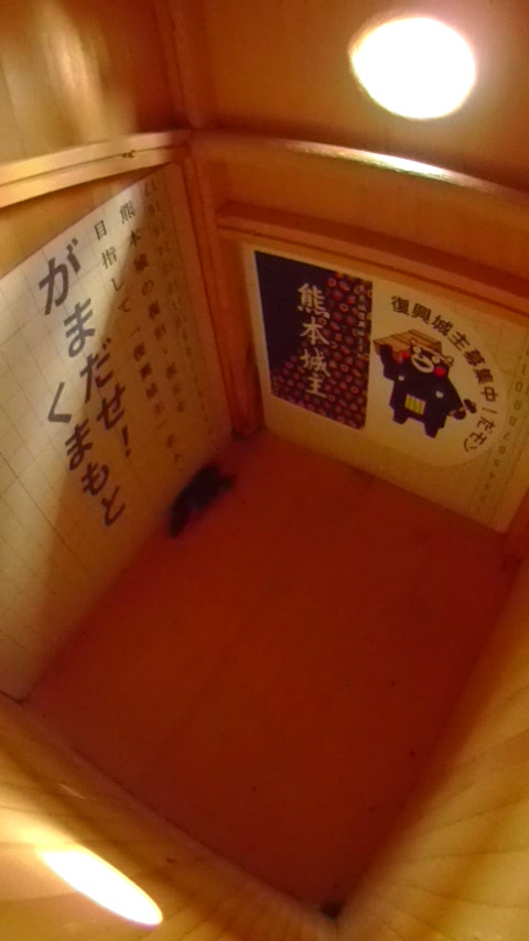 ̒ŏW܂ēȂn`Wc̎ʐ^