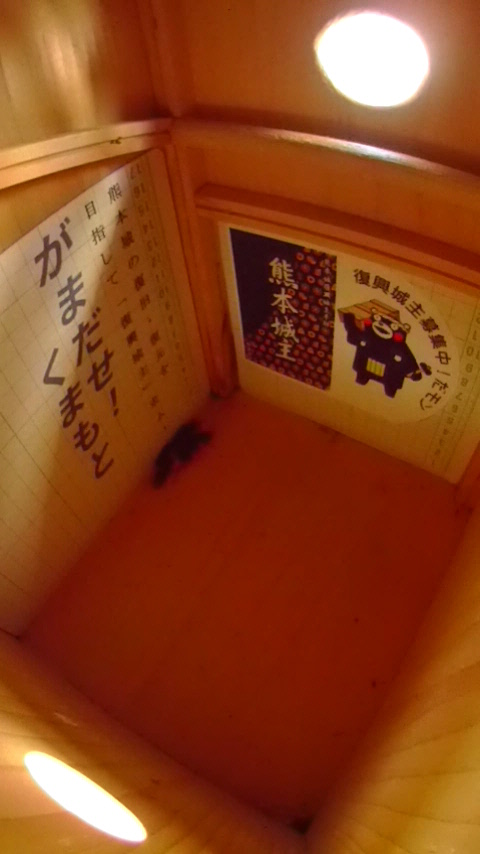 ̒ŏW܂ēȂn`Wc̎ʐ^