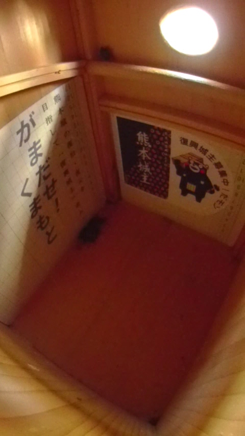 ̒ŏW܂ēȂn`Wc̎ʐ^