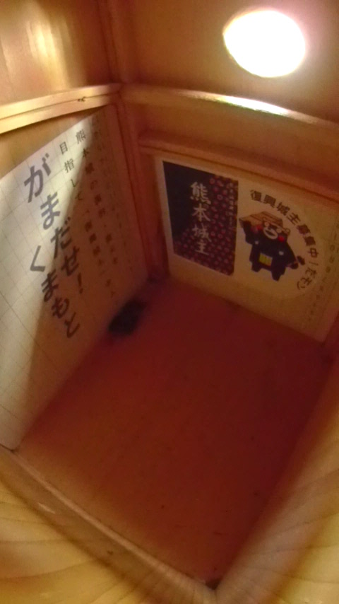 ̒ŏW܂ēȂn`Wc̎ʐ^