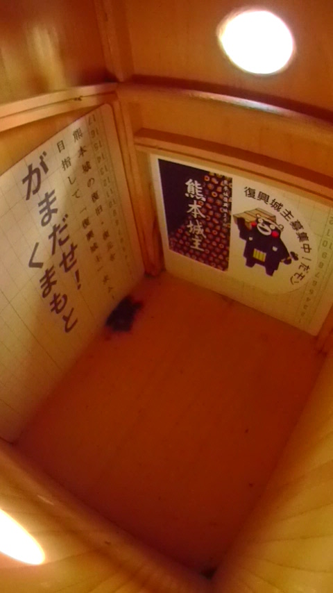 �����̒�ŏW�܂��ē����Ȃ��n�`�W�c�̎ʐ^