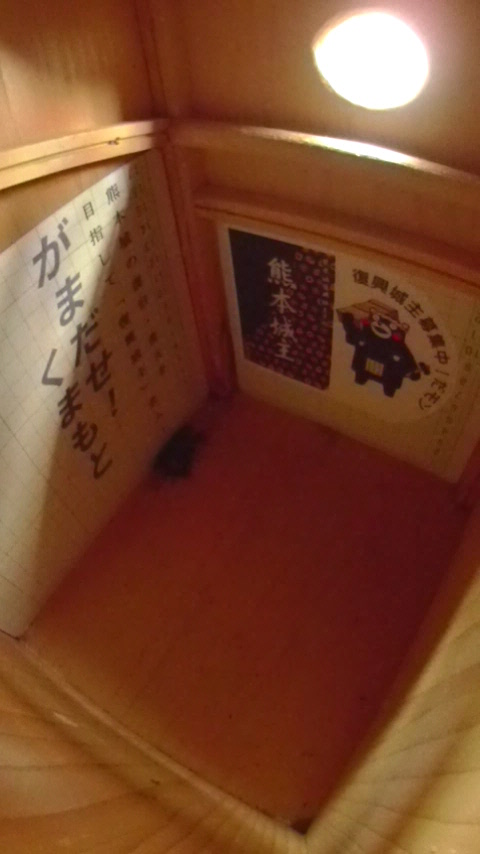 �����̒�ŏW�܂��ē����Ȃ��n�`�W�c�̎ʐ^