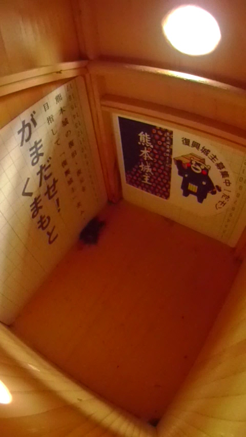 �����̒�ŏW�܂��ē����Ȃ��n�`�W�c�̎ʐ^