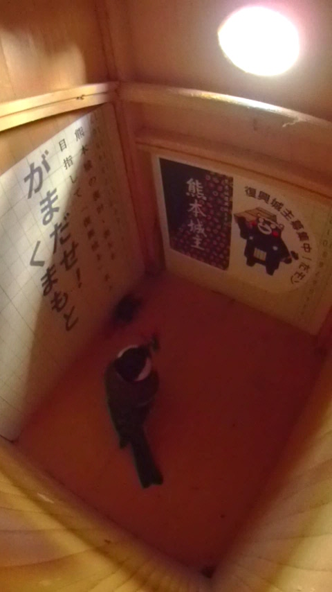 �n�`����C�����Ă���V�W���E�J���̎ʐ^