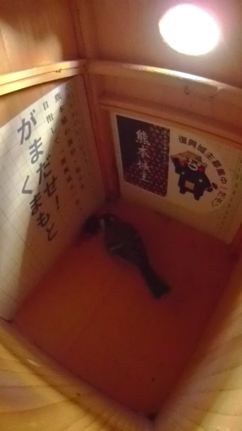 �����œ~�����Ă���n�`�̏W�c��˂��˂��V�W���E�J���̎ʐ^