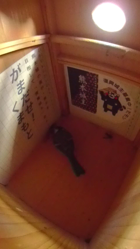 �����̋��̃n�`��˂��˂��V�W���E�J���̎ʐ^