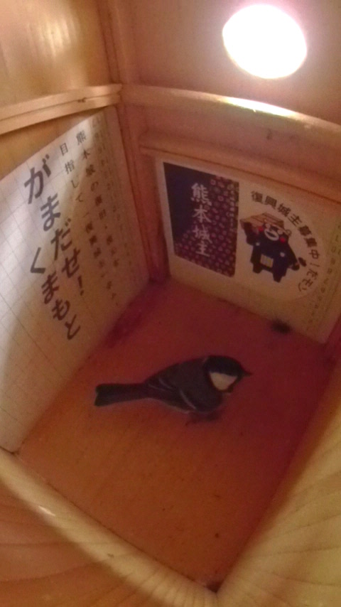 �����̒�ɍ~�藧�����ɂ���n�`�����߂�V�W���E�J���̎ʐ^