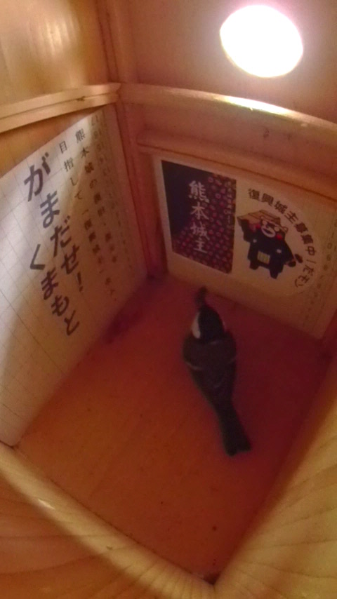 �����Ɏc��Ō�̃n�`�������V�W���E�J���̎ʐ^