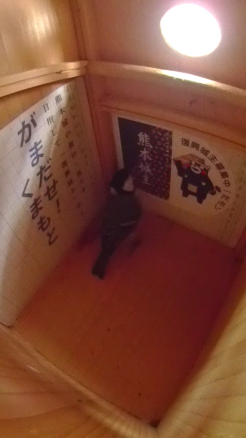 �����̕ǂɓ\��ꂽ�F�{����W�̃|�X�^�[��˂��˂��V�W���E�J���̎ʐ^