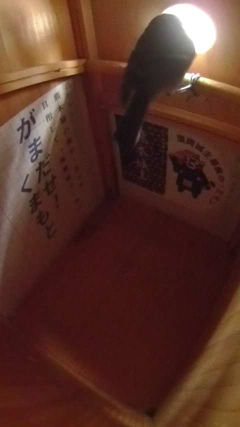 �����̒��𒲂ׂĂ݂����̂́@�~�����Ă��鍩���͌�����ꂸ�������o��V�W���E�J���̎ʐ^