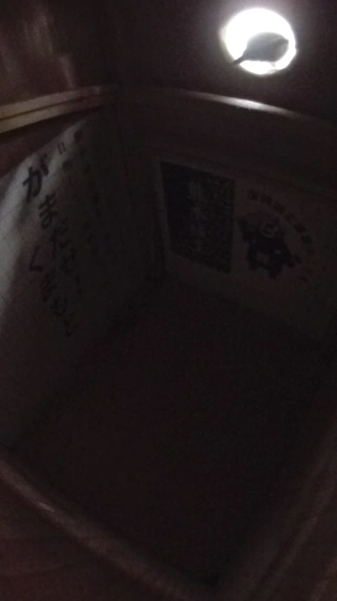 ������`���S�W���E�J���̎ʐ^