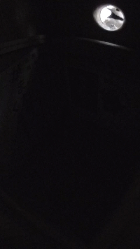 �������瑃����`�����}�K���̎ʐ^