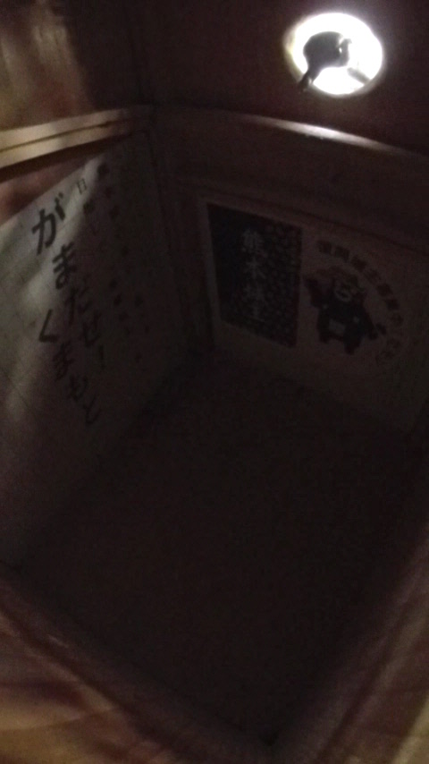 �������瑃����`���S�W���E�J���̎ʐ^