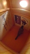 F{镜ɉVWEJ̎ʐ^
