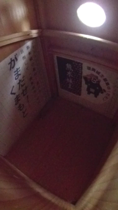 �ア�����������ދ�̑����̎ʐ^