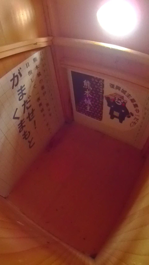 �����ɐ����t���鋭���������e�ςɋ��������Ă��鑃���̎ʐ^