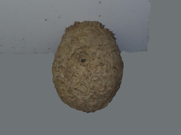 �n�`�̑��̎ʐ^