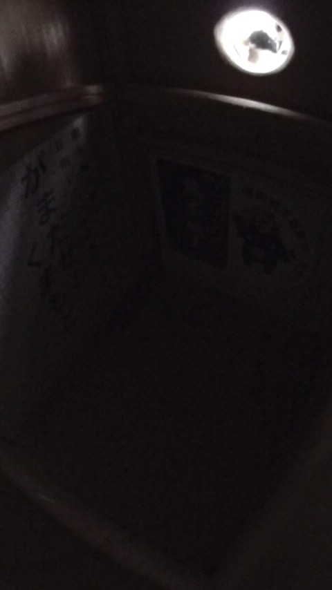 �������瑃����`�����}�K���̎ʐ^