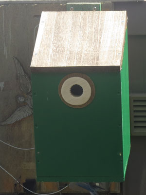 �����J�����̉��u�^��쓮��Ԃ̊O�ώʐ^